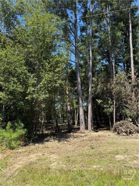 Vacant Land For Sale - Friendship Road<br/> Sylvania, GA 30467