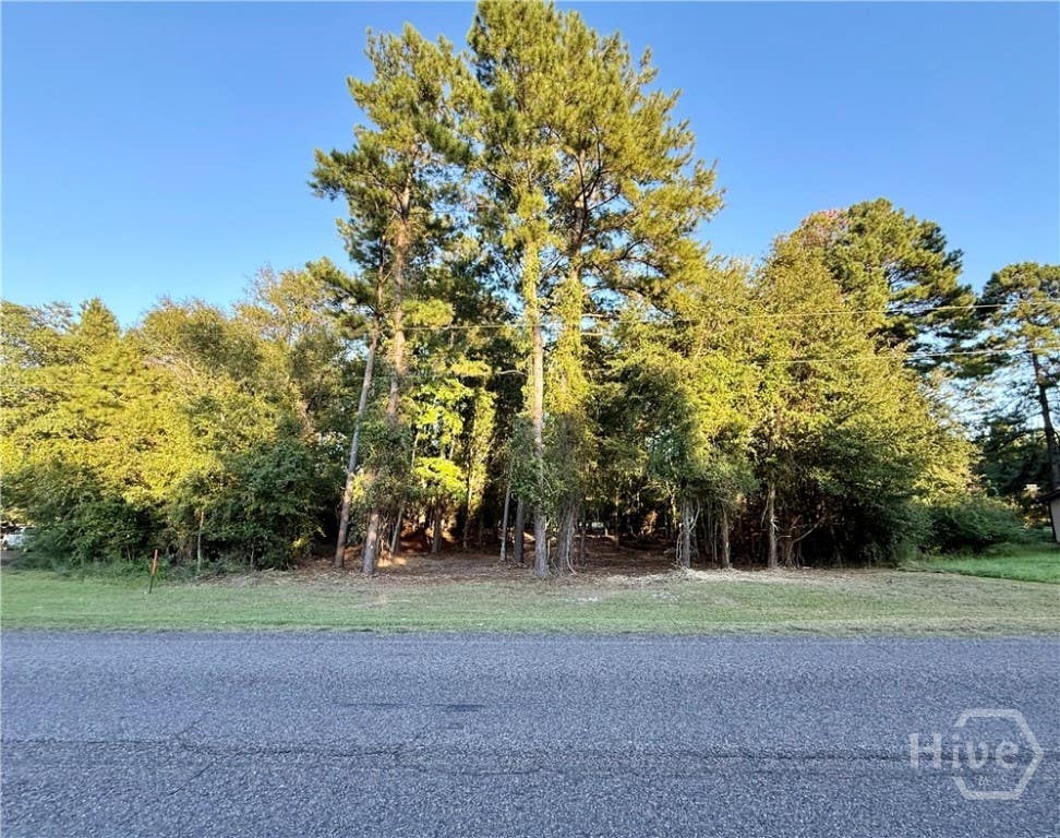 Photo of 0 Friendship Road, Sylvania, GA 30467 (MLS # SA358585)