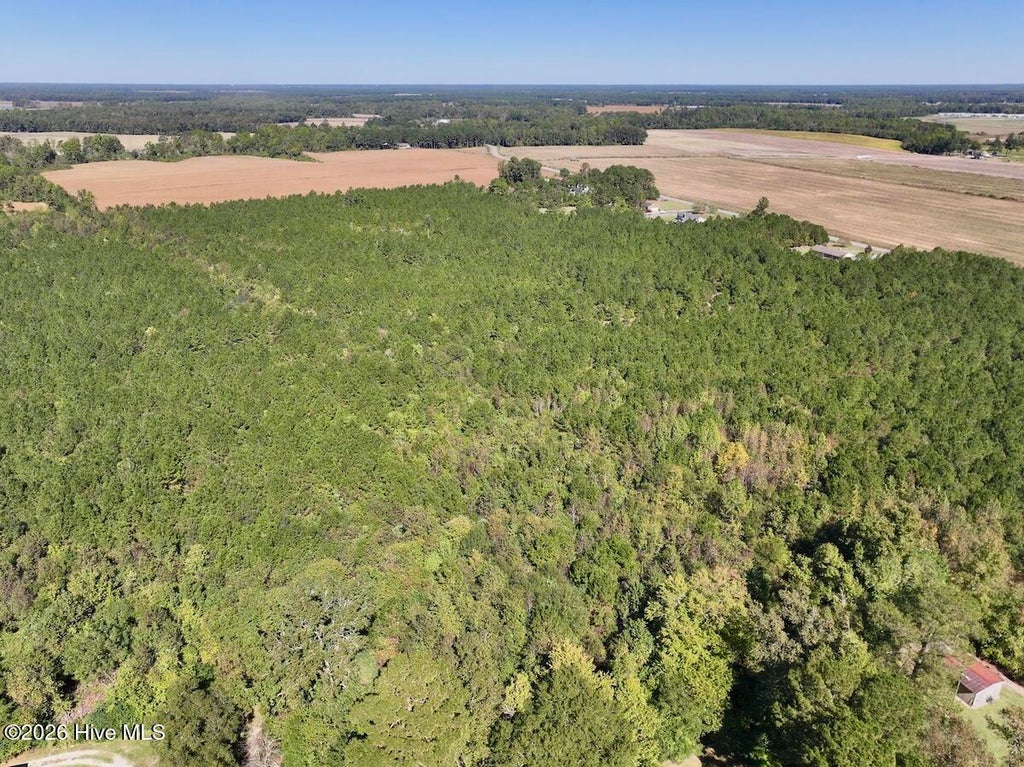 Photo of 0 W Wards Bridge Road, Warsaw, NC 28398 (MLS # 100612661)