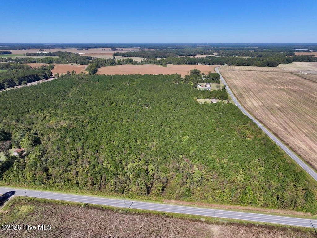 Photo of 0 W Wards Bridge Road, Warsaw, NC 28398 (MLS # 100612661)