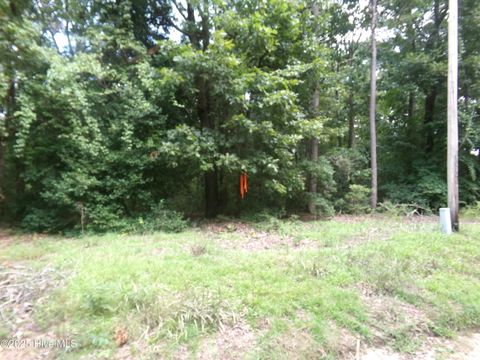 Vacant Land For Sale - LOT 37 Plantation Road<br/> Bladen County, Elizabethtown, NC 28337