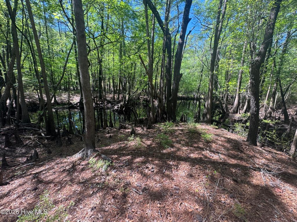 Photo of 567 53 Off Highway, Atkinson, NC 28421 (MLS # 100568950)