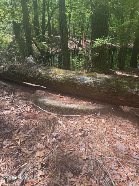 Tiny photo for 567 53 Off Highway, Atkinson, NC 28421 (MLS # 100568950)