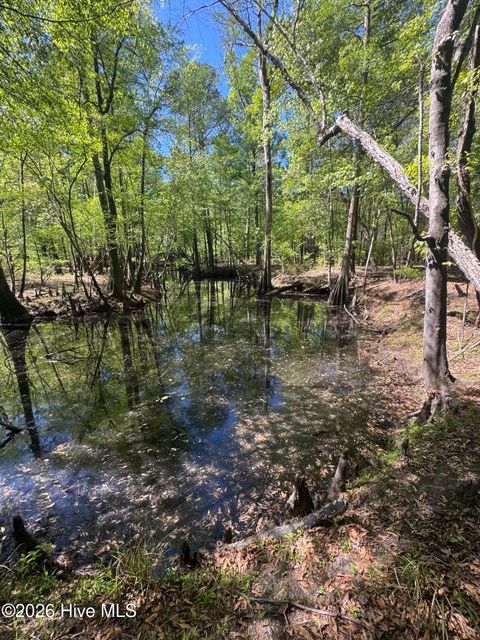 Tiny photo for 567 53 Off Highway, Atkinson, NC 28421 (MLS # 100568950)