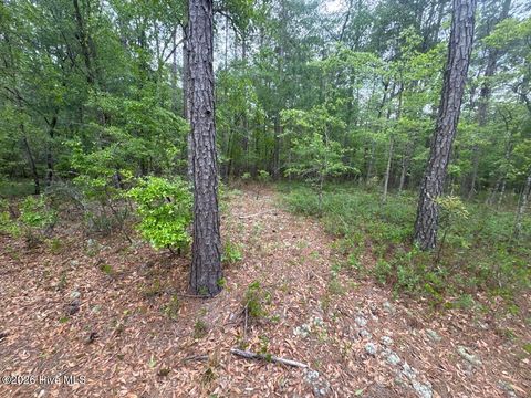 Photo of 567 53 Off Highway, Atkinson, NC 28421 (MLS # 100568950)