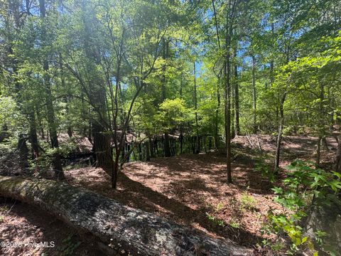 Tiny photo for 567 53 Off Highway, Atkinson, NC 28421 (MLS # 100568950)