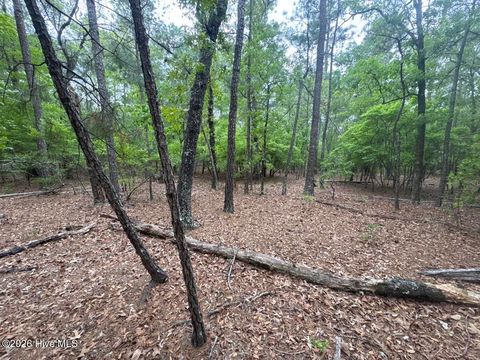 Tiny photo for 567 53 Off Highway, Atkinson, NC 28421 (MLS # 100568950)