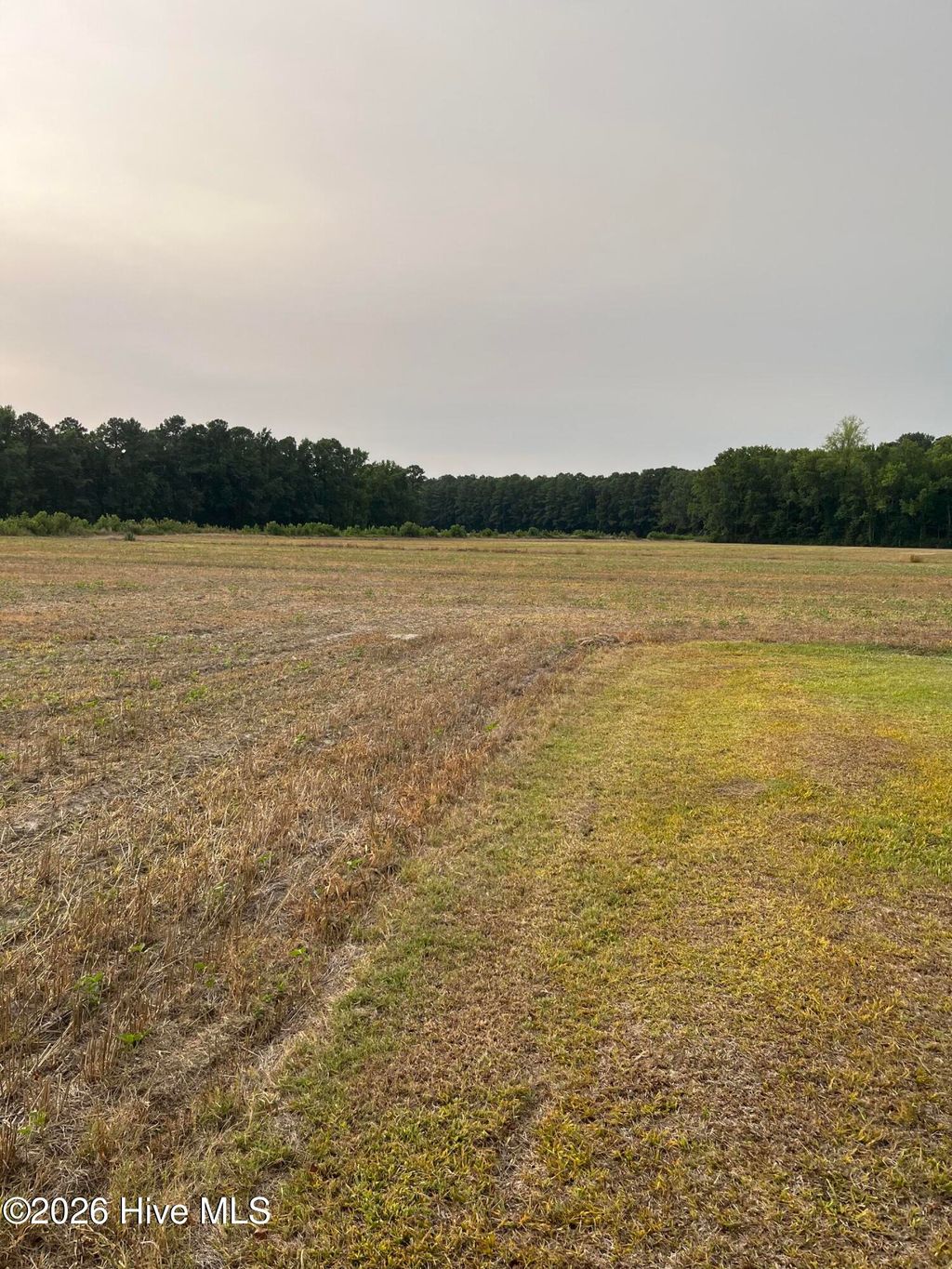 Photo of 3091 Hudsons Crossroads Road, Greenville, NC 27858 (MLS # 100589230)