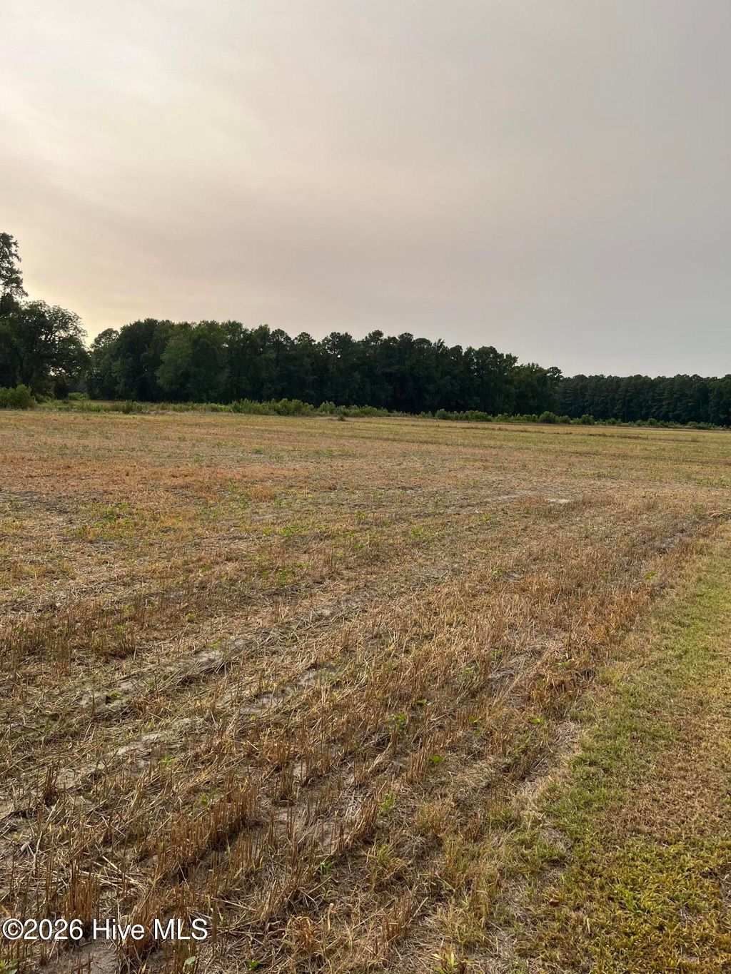 Photo of 3091 Hudsons Crossroads Road, Greenville, NC 27858 (MLS # 100589230)
