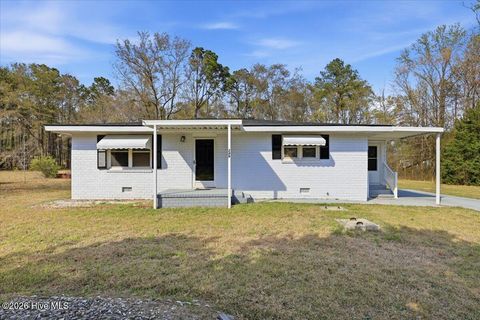 Homes For Sale - 249 Hack Drive<br/> Dudley, NC 28333