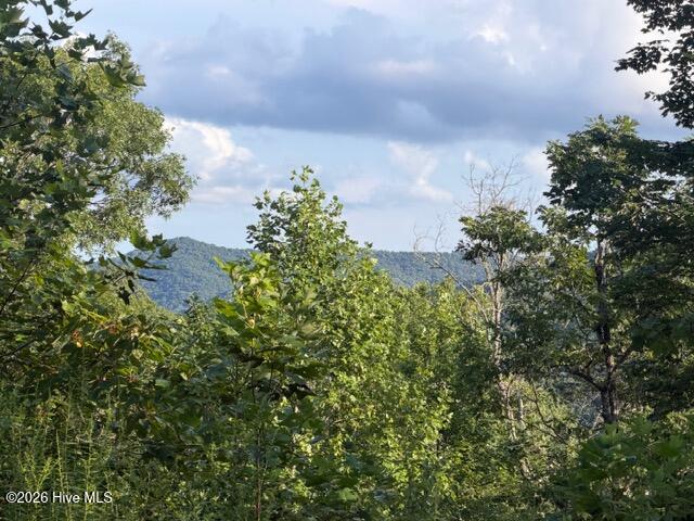 Photo of 13 Little Choga Road, Topton, NC 28781 (MLS # 100595519)