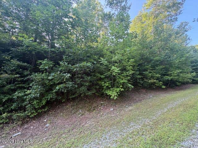 Photo of 13 Little Choga Road, Topton, NC 28781 (MLS # 100595519)