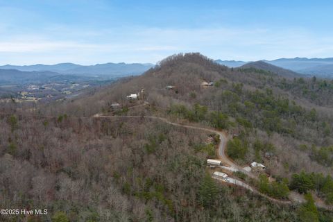 Vacant Land For Sale - Pleasant Hill Road<br/> Franklin, NC 28734