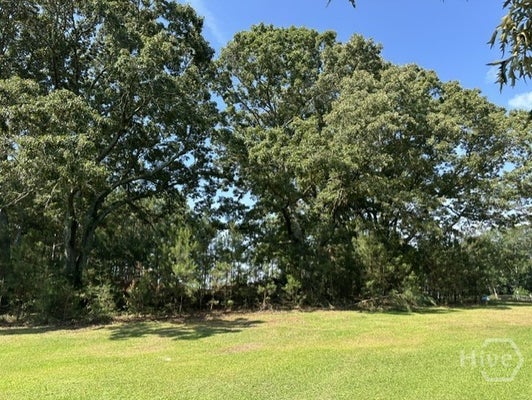 3451 NEW HIGH SHOALS RD, BISHOP, GA 30621 - Image 5b16ec3da4bc6f42b3ebd01c7e9ec8b2/3291311798