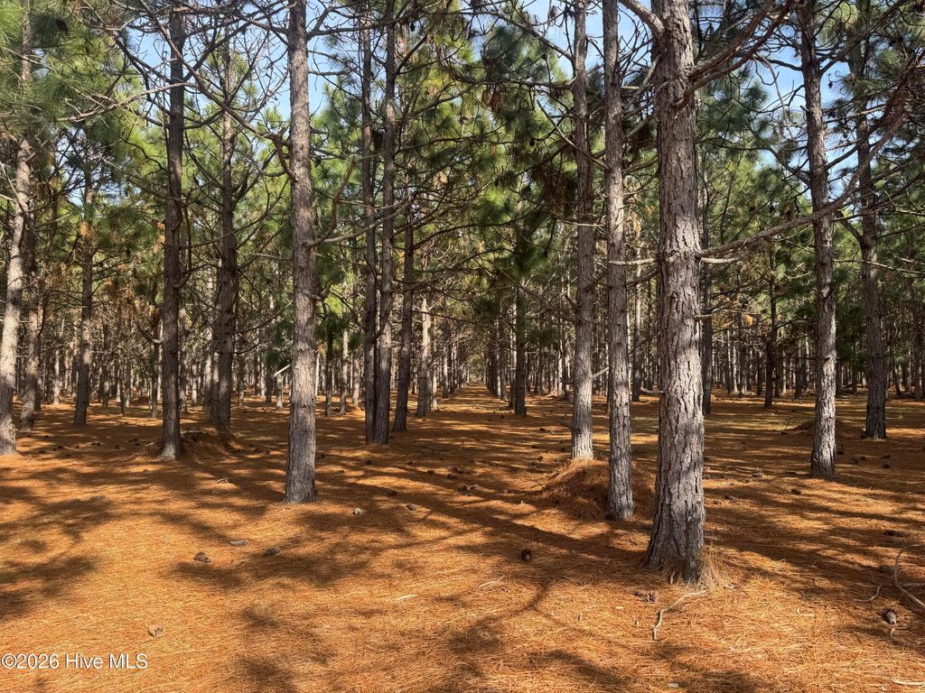 Photo of 0 Butler Mill Road Road, Bladenboro, NC 28320 (MLS # 100556119)