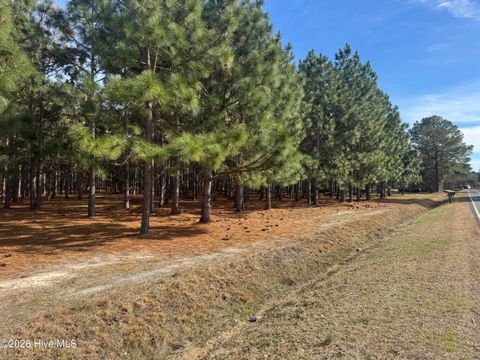 Vacant Land For Sale - Butler Mill Road Road<br/> Bladen County, Bladenboro, NC 28320