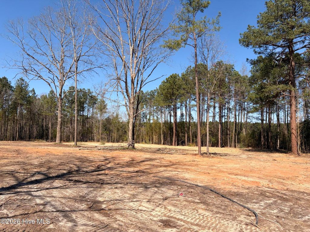 Photo of 880 Doubs Chapel Road, West End, NC 27376 (MLS # 100560696)