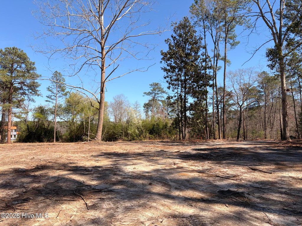 Photo of 880 Doubs Chapel Road, West End, NC 27376 (MLS # 100560696)