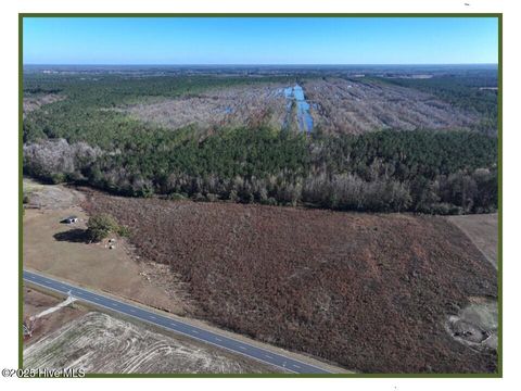 Vacant Land For Sale - LOT 3 Wire Grass Road<br/> Orrum, NC 28369
