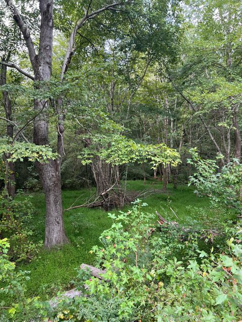 Vacant Land For Sale - LOT 3 Us 264a<br/> Bailey, NC 27807