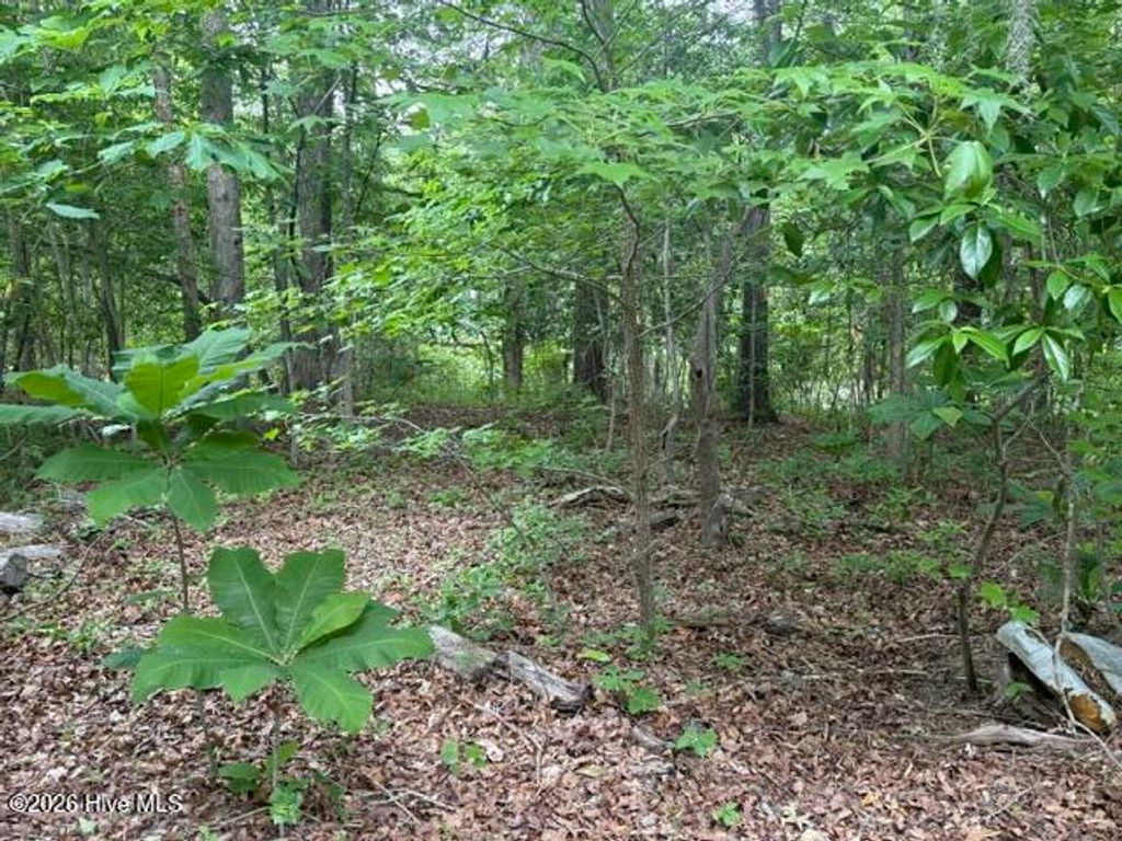 Photo of 104 River Road, Blounts Creek, NC 27814 (MLS # 100573773)