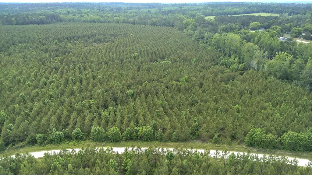 Photo of 36 Moton Moore Road, McCormick, SC 29835 (MLS # 551469)