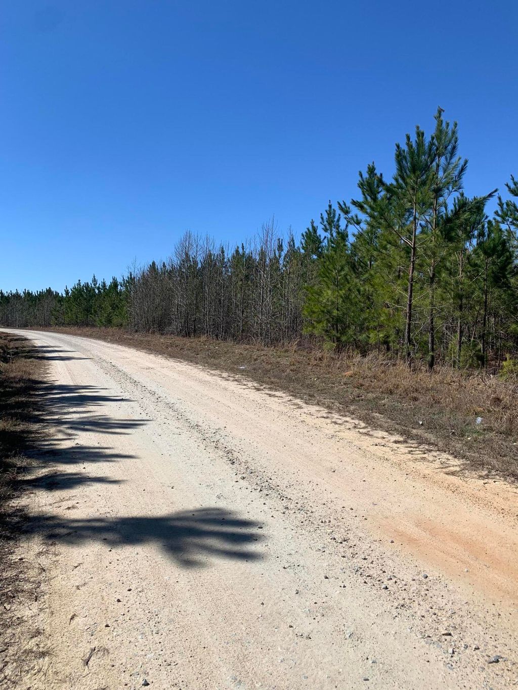 Photo of 36 Moton Moore Road, McCormick, SC 29835 (MLS # 551469)