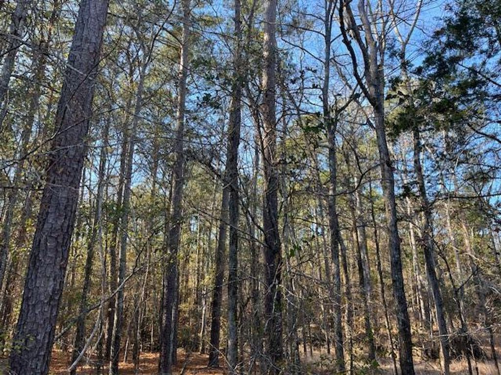 Photo of 3015 Timber Woods Drive, Appling, GA 30802 (MLS # 550140)