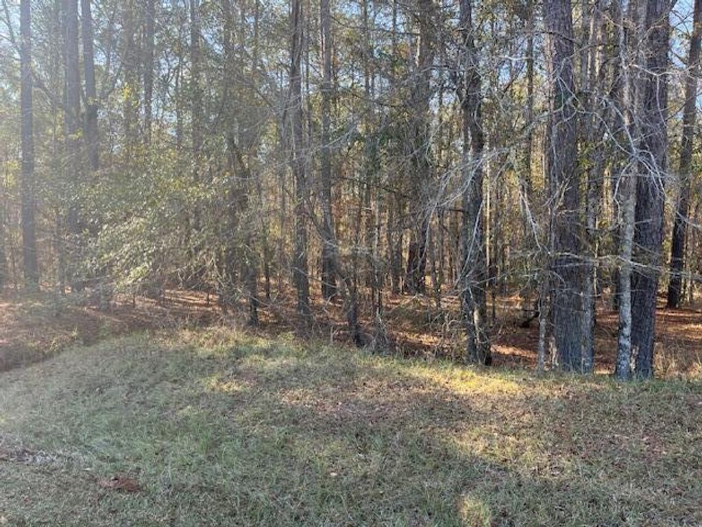 Photo of 3015 Timber Woods Drive, Appling, GA 30802 (MLS # 550140)