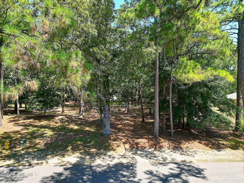 Photo of 3252 Marsh View Drive SW, Supply, NC 28462 (MLS # 100579331)
