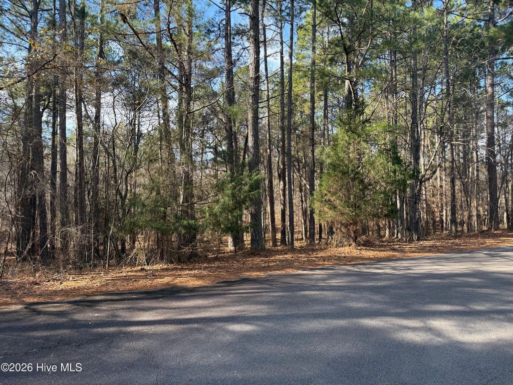 Photo of 145 Millstone Court, West End, NC 27376 (MLS # 100557454)