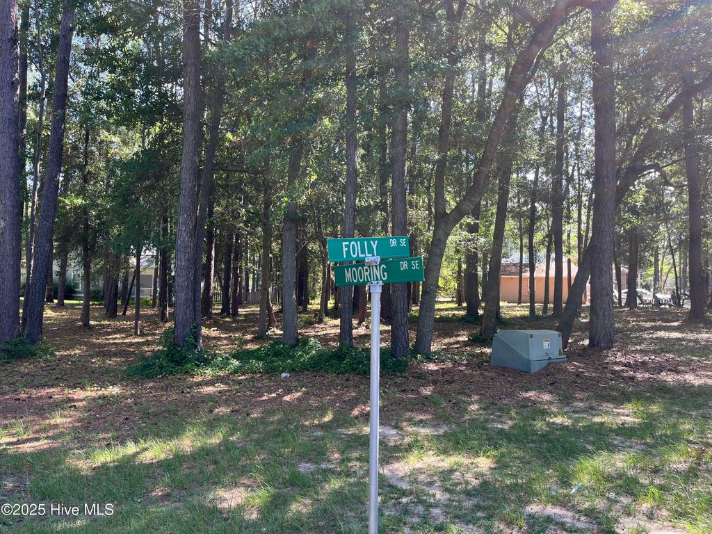 Photo of 654 Folly Drive, Bolivia, NC 28422 (MLS # 100516761)