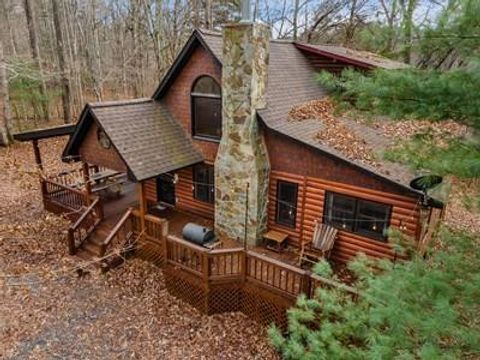 Homes For Sale - 162 Little Falls Drive<br/> Mineral Bluff, GA 30559