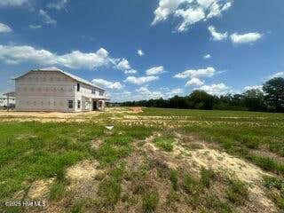 Photo of 265 Pierre Drive DR, Benson, NC 27504 (MLS # 100595159)
