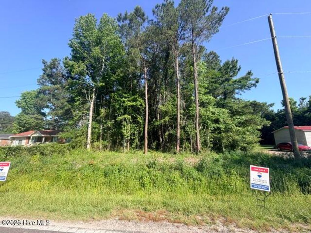 Photo of 180 W Fisher Avenue, New Bern, NC 28562 (MLS # 100575804)