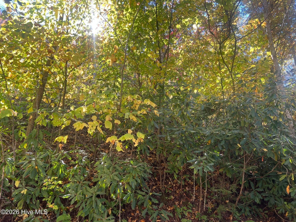 Photo of 4 Old Faber Road, Topton, NC 28781 (MLS # 100612613)