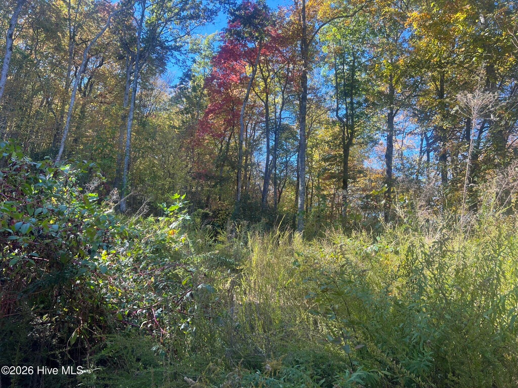 Photo of 4 Old Faber Road, Topton, NC 28781 (MLS # 100612613)