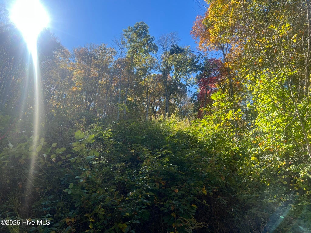 Photo of 4 Old Faber Road, Topton, NC 28781 (MLS # 100612613)
