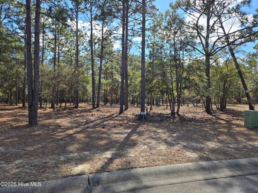 Photo of 3597 Concordia Avenue SW, Supply, NC 28462 (MLS # 100556476)