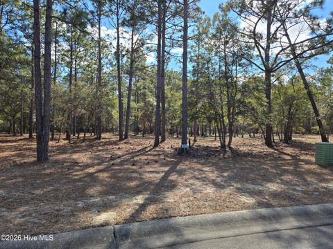 Photo of 3597 Concordia Avenue SW, Supply, NC 28462 (MLS # 100556476)