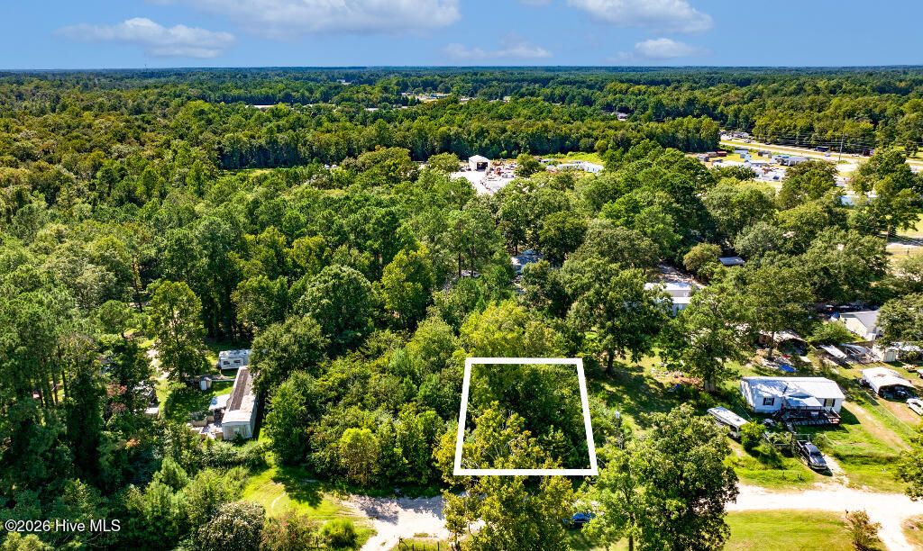 Photo of 133 Shade Tree Lane SW, Supply, NC 28462 (MLS # 100558021)