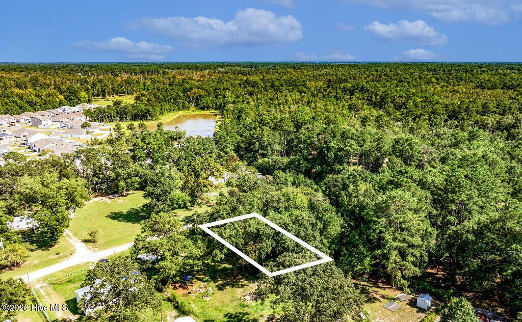 Photo of 133 Shade Tree Lane SW, Supply, NC 28462 (MLS # 100558021)