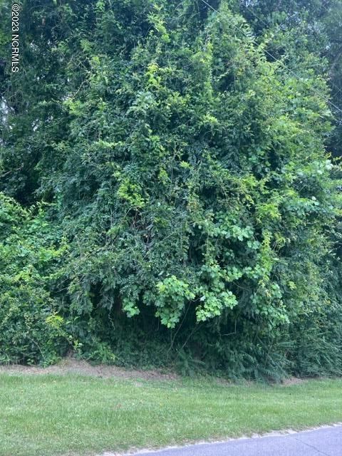 Vacant Land For Sale - TBD N Poplar North Street<br/> Moore County, Aberdeen, NC 28315