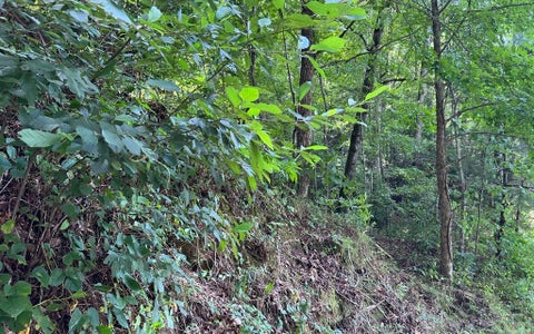 Vacant Land For Sale - LOT 77 Fires Creek Cove<br/> Hayesville, NC 28904