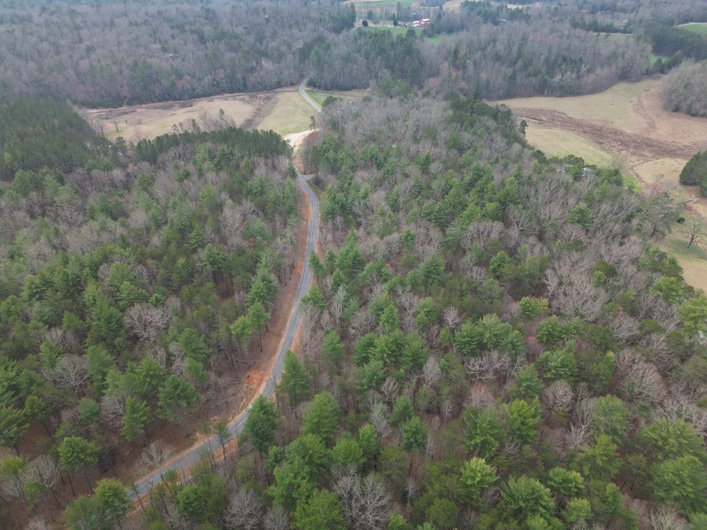 Lot #29 Liberty Road - Photo 3