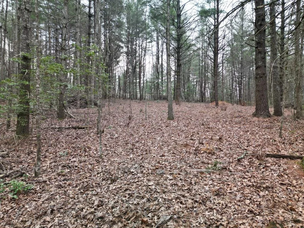 Lot #29 Liberty Road
