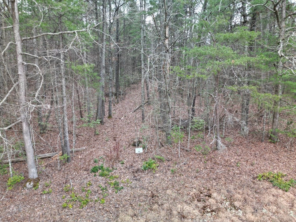 Lot #29 Liberty Road - Photo 2