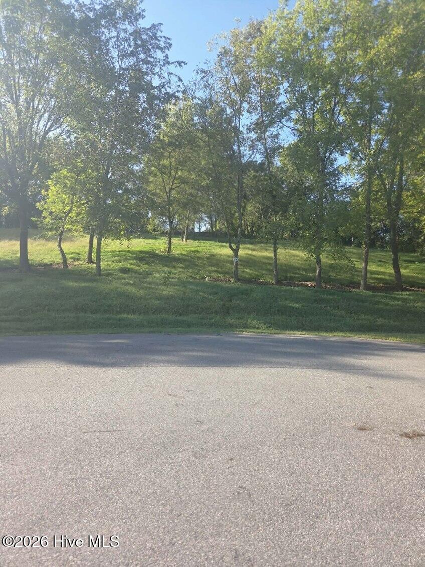 Photo of 23 Mcglamery Farm Drive, Hayesville, NC 28904 (MLS # 100603325)