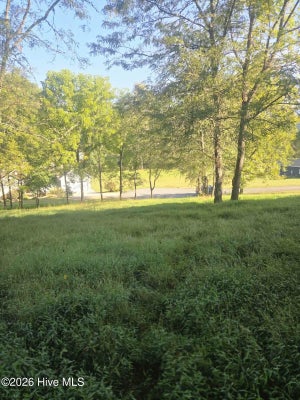 17 MCGLAMERY FARM DR, HAYESVILLE, NC 28904 - Image 5c4b15fb4605baeb9716347370403480/870626711