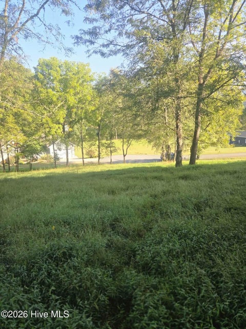 Vacant Land For Sale - LT 23 Mcglamery Farm Drive<br/> Hayesville, NC 28904